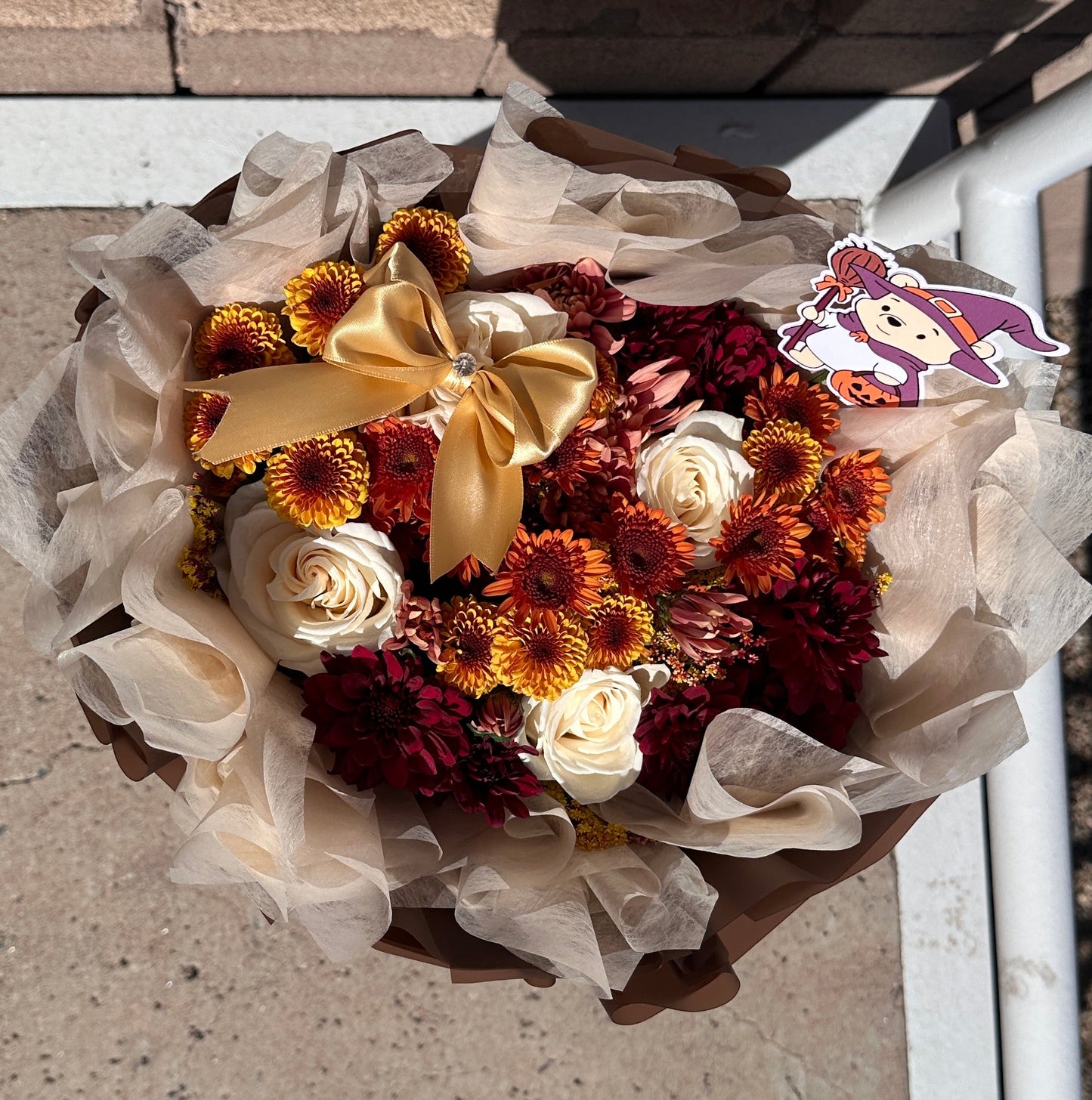 Harvest bloom 🤎✨